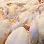 Gobierno descarta alzas en precio del pollo tras suspensión de importaciones
