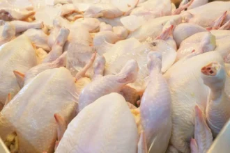 Gobierno descarta alzas en precio del pollo tras suspensión de importaciones