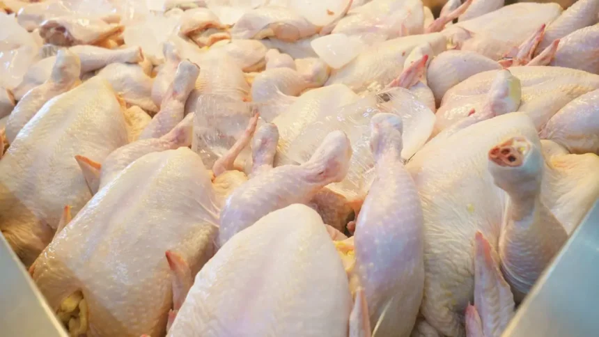 Gobierno descarta alzas en precio del pollo tras suspensión de importaciones