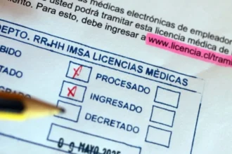 Escándalo en Valdivia: 164 funcionarios investigados por viajes irregulares