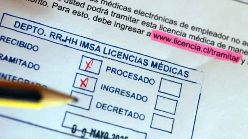 Escándalo en Valdivia: 164 funcionarios investigados por viajes irregulares