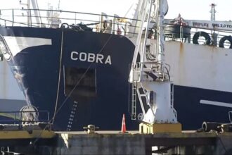 Hallan restos de lancha Bruma en buque Cobra: investigación se amplía