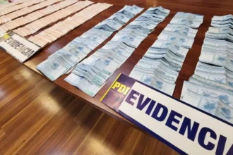 Operación en Aysén: Desmantelan red de tráfico de drogas y lavado