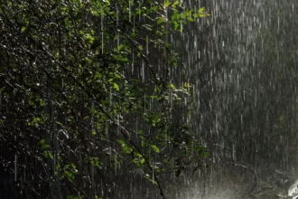 Alerta meteorológica por tormentas eléctricas en cinco regiones del sur de Chile