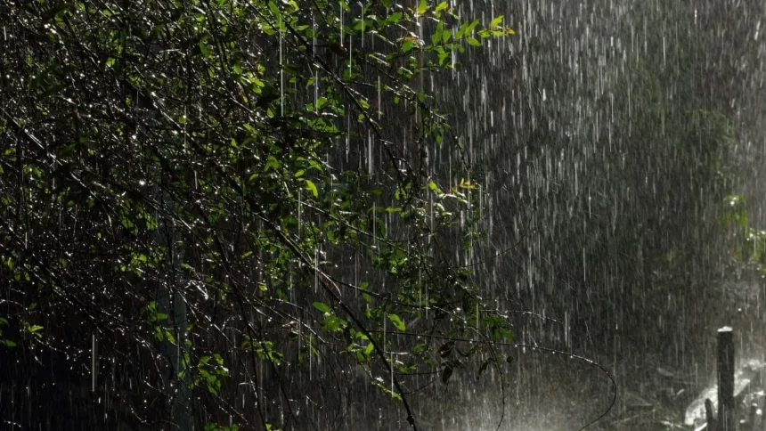 Alerta meteorológica por tormentas eléctricas en cinco regiones del sur de Chile