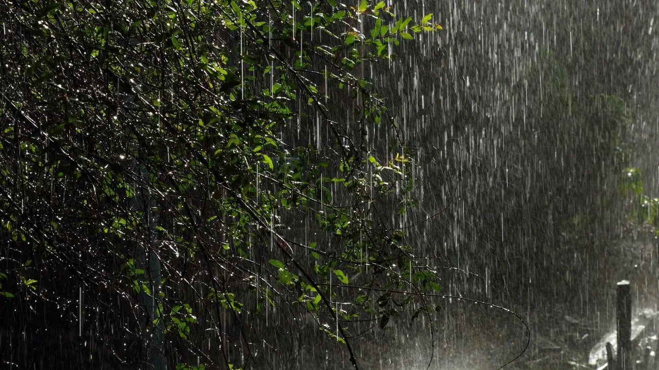 Alerta meteorológica por tormentas eléctricas en cinco regiones del sur de Chile