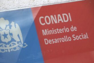 Polémica por denuncia de violencia intrafamiliar contra ex subdirector de Conadi
