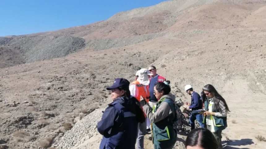 Visita técnica a planta minera en Tierra Amarilla con capacidad para 40 mil toneladas al mes