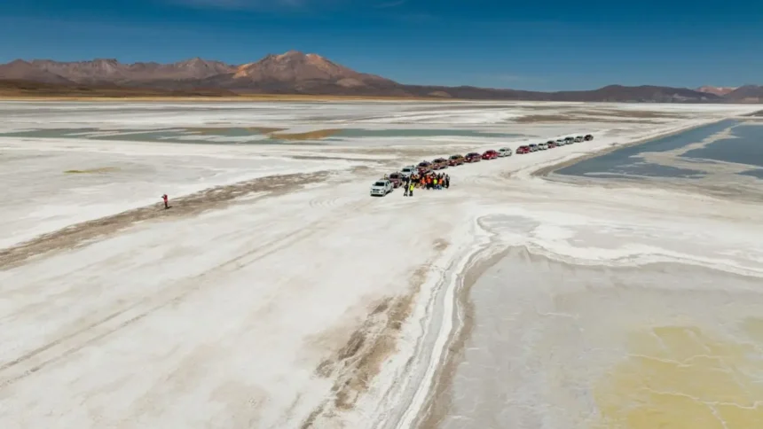 El Tribunal Ambiental autoriza extracción limitada de Ulexita en el Salar de Surire