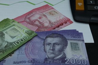 Beneficiarios y montos: Bono de Protección para dueñas de casa