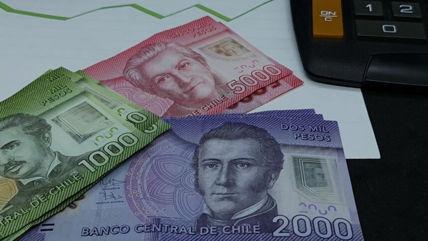 Beneficiarios y montos: Bono de Protección para dueñas de casa