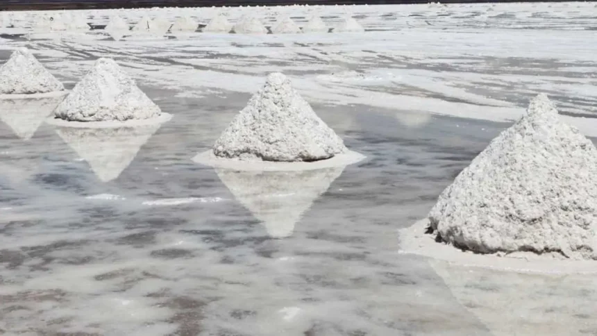 Alianza estratégica impulsa Proyecto Aurora para convertir salmuera de litio en carbonato de alta pureza