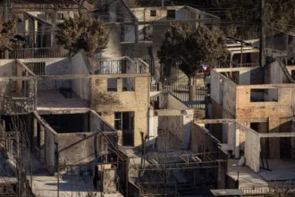 Avance del 28% en Reconstrucción tras Megaincendio en Viña del Mar