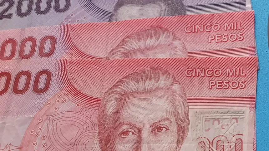 Bono al Trabajo de la Mujer: Requisitos, Pagos y Montos Actualizados