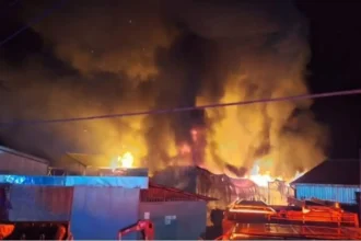 Incendio en Fábrica de Fósforos Copihue: Impacto Ambiental y Económico