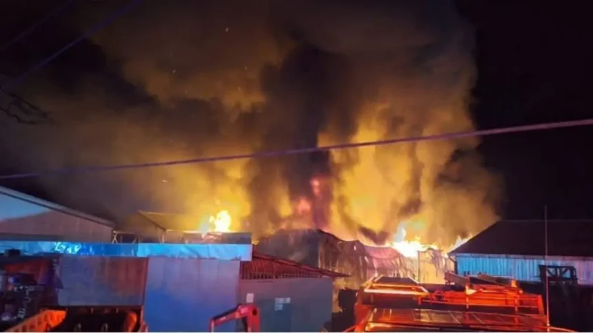 Incendio en Fábrica de Fósforos Copihue: Impacto Ambiental y Económico