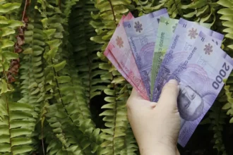 Aumento significativo en salario mínimo para profesionales de la educación