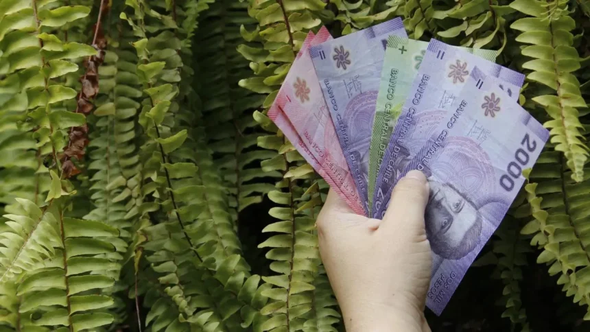 Aumento significativo en salario mínimo para profesionales de la educación