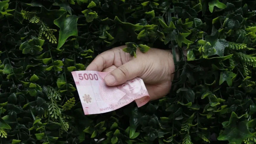 "Ventanilla Única Social: cómo postular fácilmente a beneficios estatales"