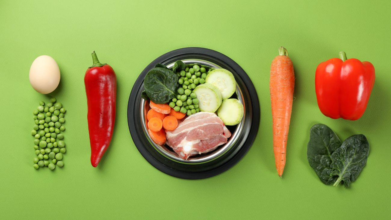 Descubre cómo mantener una alimentación saludable y balanceada Descubre cómo mantener una alimentación saludable y balanceada