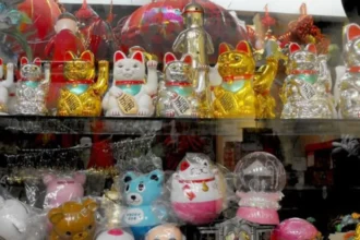 Irregularidades en mall chinos de Santiago según estudio de Odecu