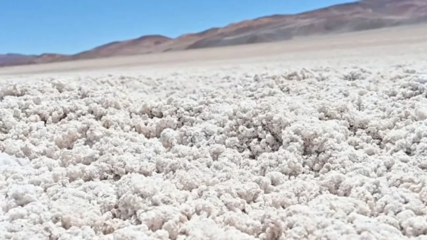 Avance en proyectos de litio en Quillagua tras revisión de antecedentes