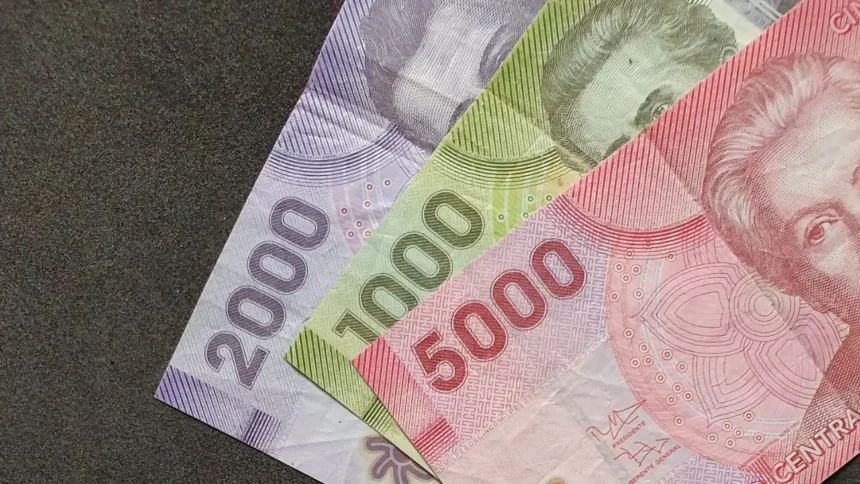 Programa de pago a cuidadores de personas con discapacidad severa. ¡Descúbrelo!