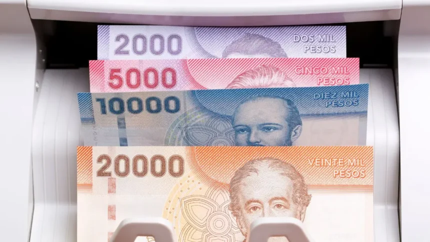 Aporte de $32.991 a cuidadores de personas con discapacidad severa