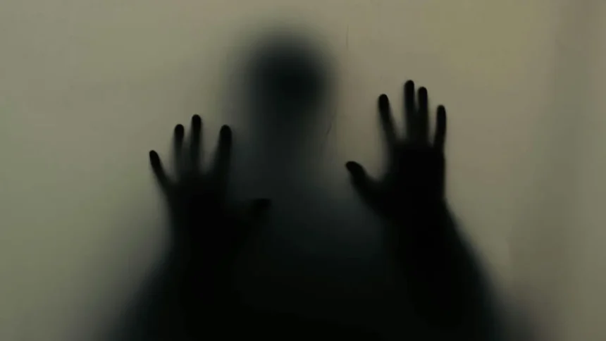 Percepción de temor en Chile: ¿Justificado o exagerado?