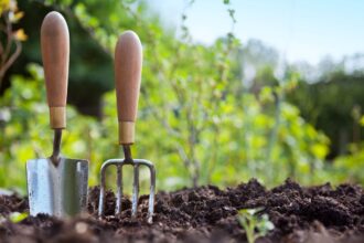 Consejos para cuidar tu jardín y mantenerlo en perfectas condiciones