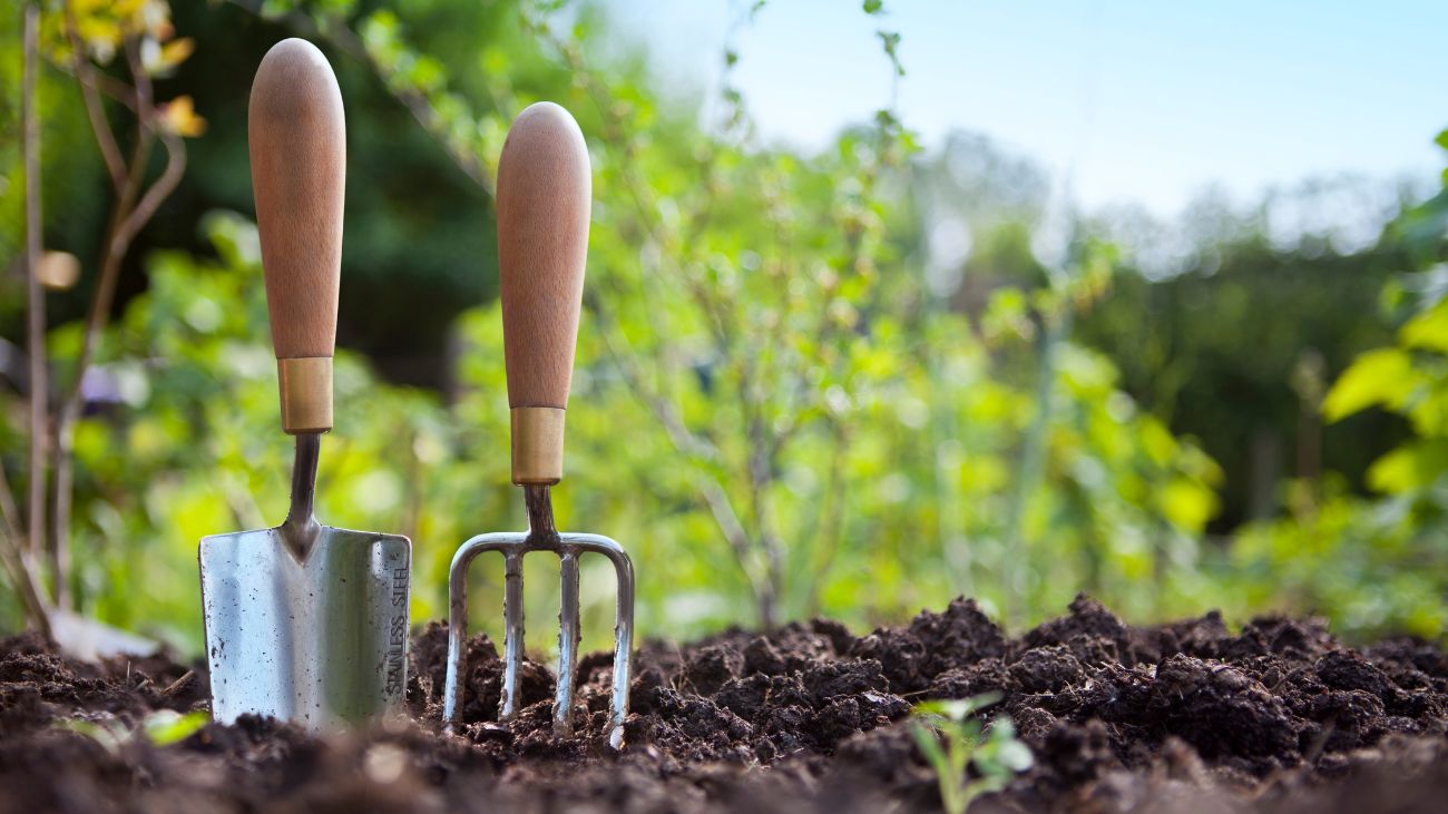 Consejos para cuidar tu jardín y mantenerlo en perfectas condiciones Consejos para cuidar tu jardín y mantenerlo en perfectas condiciones