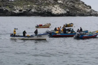 Pescador desaparecido tras accidente marítimo en Canela: intensa búsqueda en Coquimbo