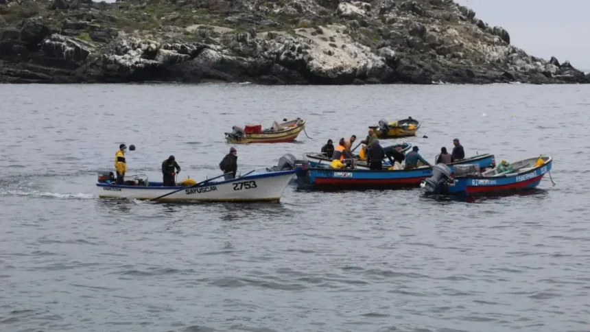 Pescador desaparecido tras accidente marítimo en Canela: intensa búsqueda en Coquimbo
