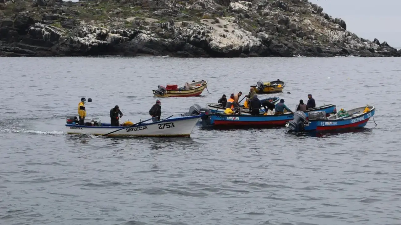 Pescador desaparecido tras accidente marítimo en Canela: intensa búsqueda en Coquimbo Pescador desaparecido tras accidente marítimo en Canela: intensa búsqueda en Coquimbo