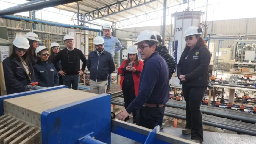 Visita a planta piloto de extracción de litio en Atacama revela tecnología innovadora