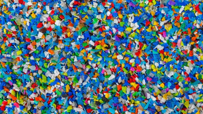 SQM Litio revoluciona la industria con proyecto de economía circular que producirá 150,000 pallets anualment