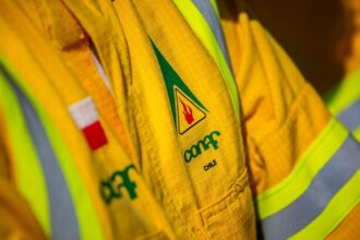 Mujeres de Conaf denuncian acoso laboral: piden intervención ministerial