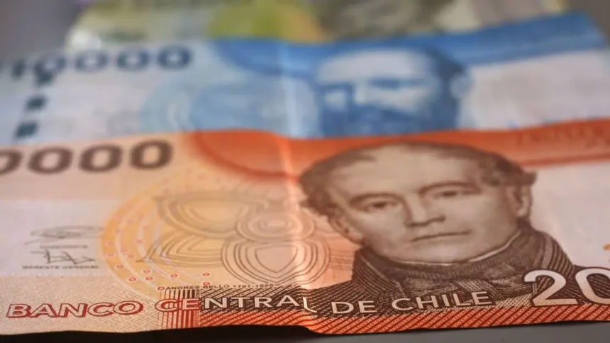 Bono de Protección: Requisitos, montos y cómo recibir el beneficio