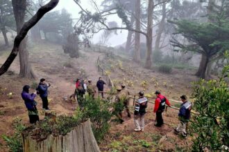 Nuevas medidas de seguridad en Parque Isidora Cousiño contra robos