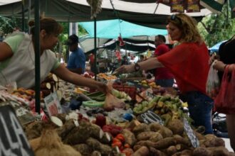 Implementación de Plan de Ordenamiento en Ferias Libres de Santiago