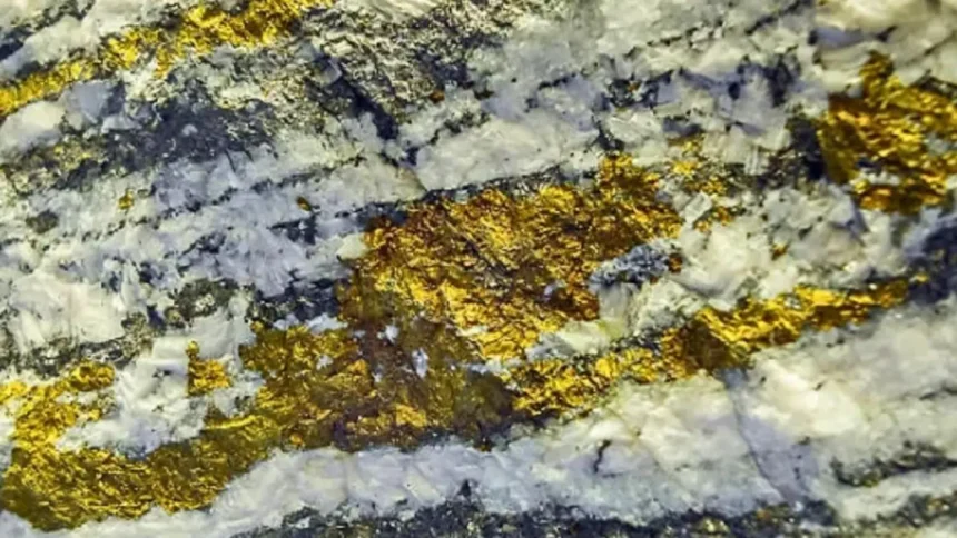 Astra Exploration descubre vetas de oro y plata de alta ley en Argentina, planeando campaña de sondajesg