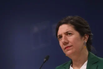 Declaraciones de Etcheverry: Normalidad en disputas entre Frente Amplio y Socialismo Democrático