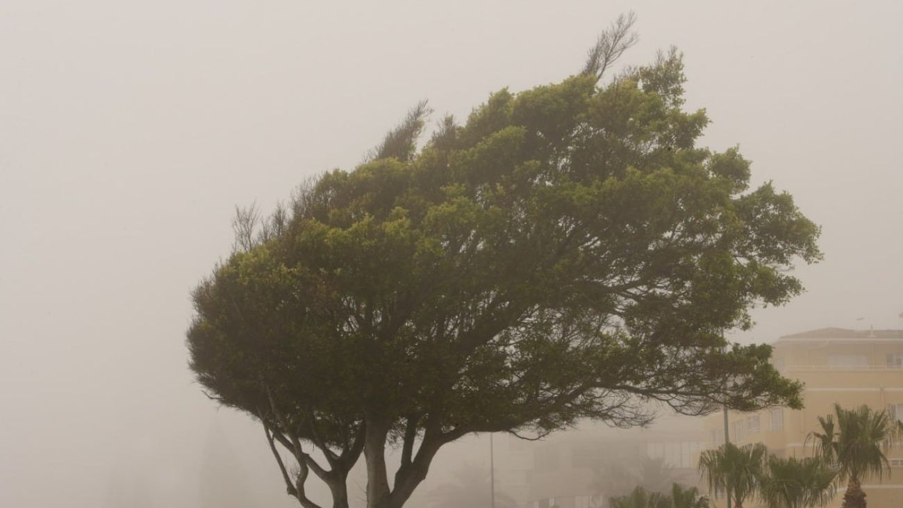 Alerta por Viento Fuerte en Zona Centro y Centro Sur de Chile Alerta por Viento Fuerte en Zona Centro y Centro Sur de Chile