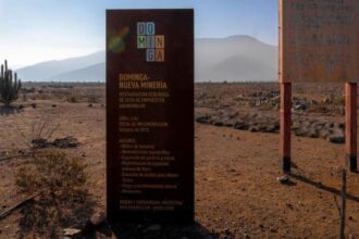Dominga: Diputados rechazan proyecto minero por amenazar biodiversidad chilena