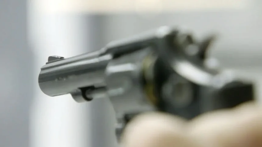 Serie de irregularidades en control de armas de Carabineros de Chile