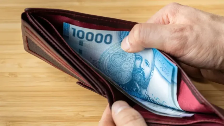 Retiro total del Seguro de Cesantía: ¿Quiénes pueden hacerlo?