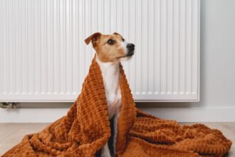 Subsidio de Calefacción 2025: Monto y requisitos para beneficiarios en Aysén