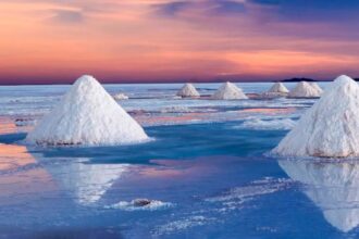 Potencial del litio en Chile destacado en InvestChile Week Europa