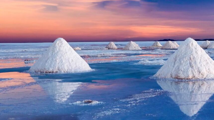 Potencial del litio en Chile destacado en InvestChile Week Europa