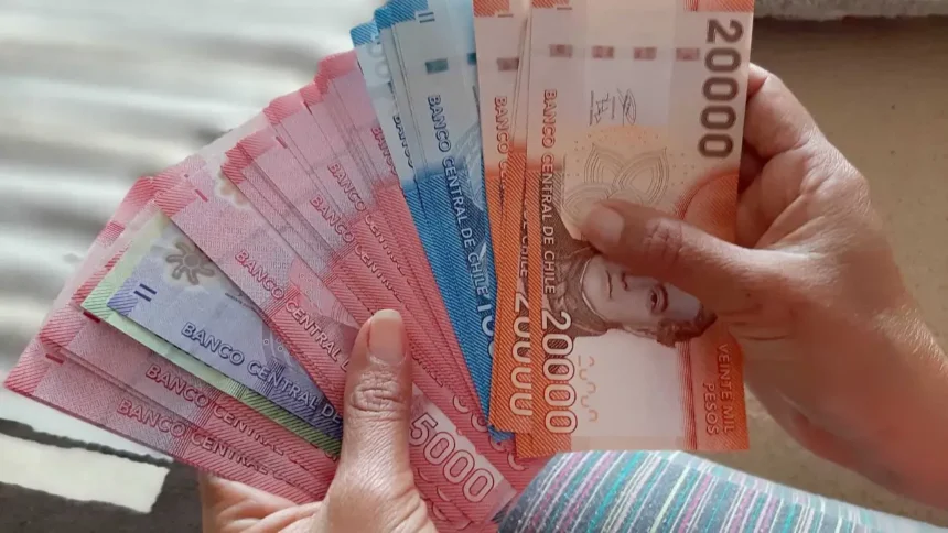 Seguro de Cesantía: requisitos y solicitud en línea paso a paso